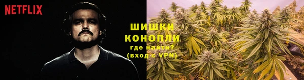 индика Арсеньев