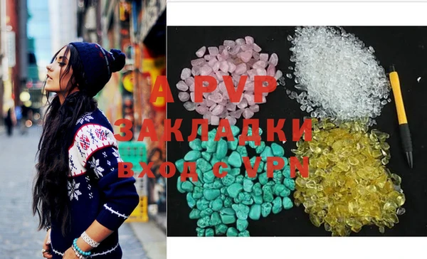 индика Арсеньев