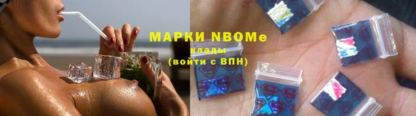 индика Арсеньев