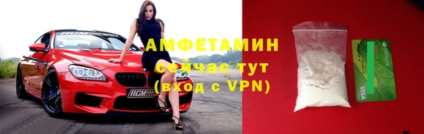 индика Арсеньев
