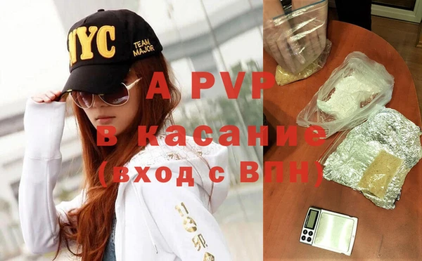 индика Арсеньев
