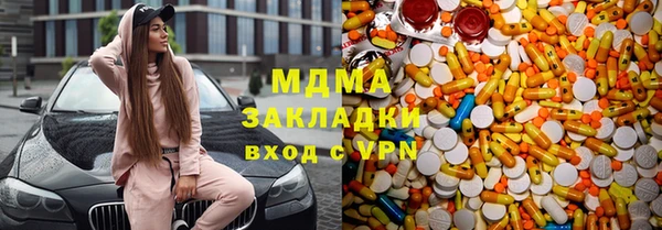 индика Арсеньев