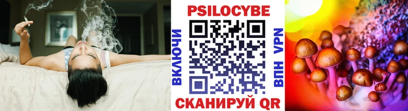 купить  сайты  Дзержинск  Галлюциногенные грибы Cubensis 